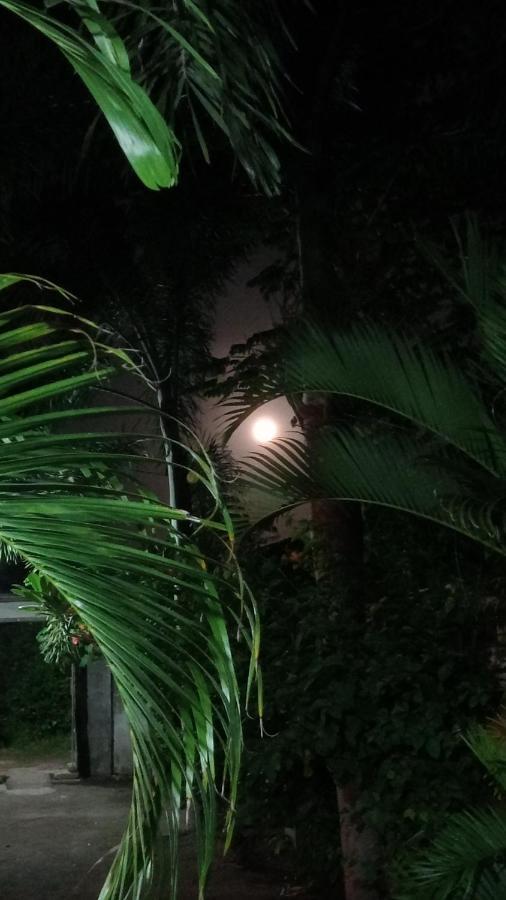 Ani Bungalows ギリ・トラワンガン エクステリア 写真